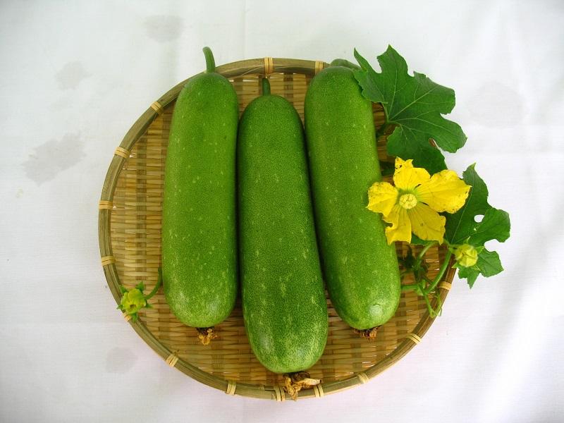 Biểu tượng thể hiện chất dinh dưỡng trong rau cải canh và lợi ích sức khỏe tổng thể